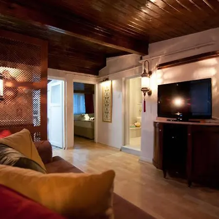 Blue Mosque Suites-old Sultanahmet شقة
