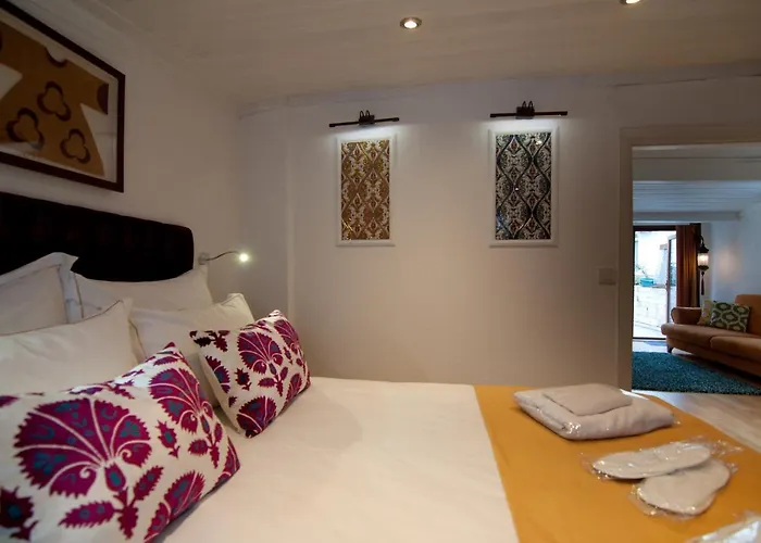 Blue Mosque Suites-old Sultanahmet アパート