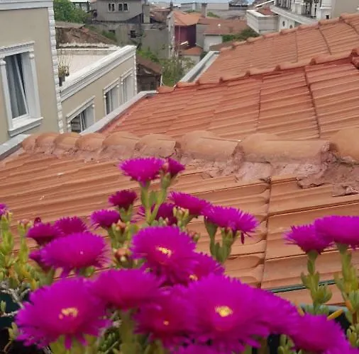 Blue Mosque Suites-old Sultanahmet *