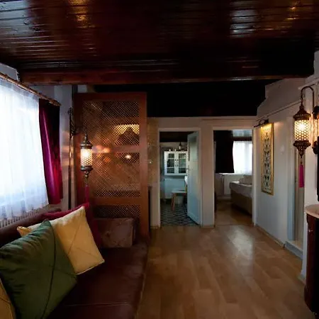 アパート Blue Mosque Suites-old Sultanahmet *